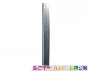 鋁質(zhì)鋼體滑觸線
